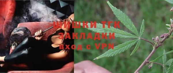 ECSTASY Белокуриха