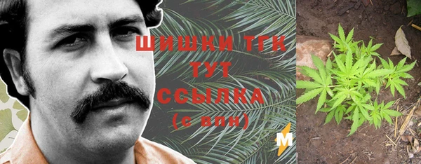 ECSTASY Белокуриха