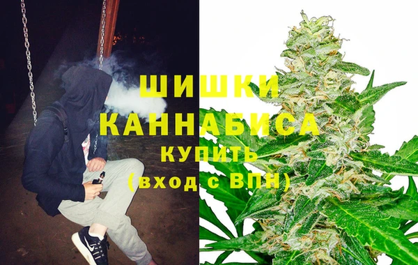 ECSTASY Белокуриха
